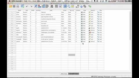 Bivariate analysis - Cross tab and Chi2 test in SPSS