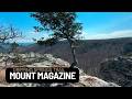 Hiking the Dripping Springs Trail at Mount Magazine | Arkansas