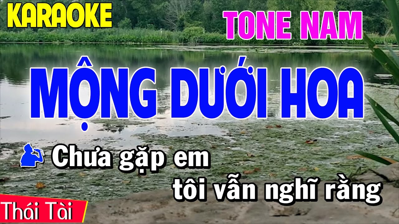 Mộng Dưới Hoa  Karaoke Tone Nam | Thái Tài
