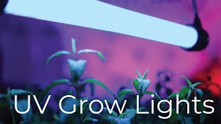 UV benefits for plants