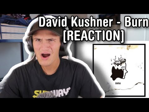 David Kushner Burn REACTION 