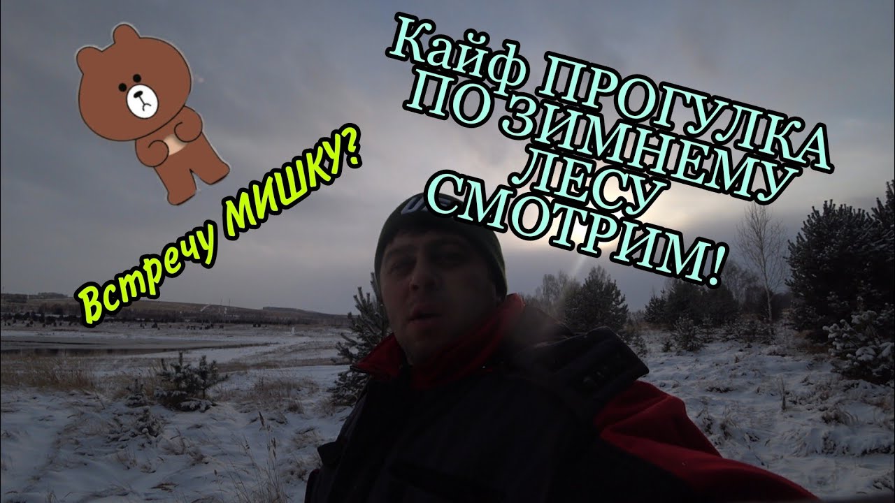 Погода в сосновой мазе