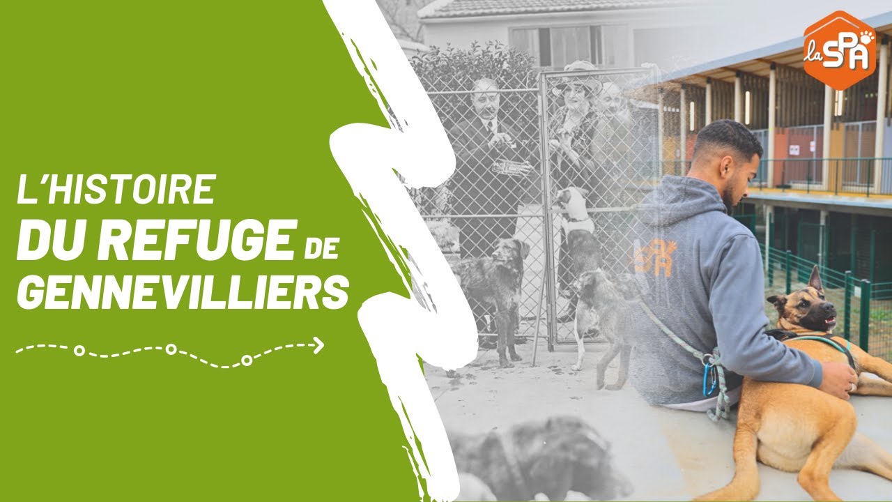 L'histoire du refuge de Gennevilliers 🎞️