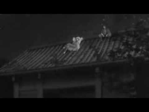 gin【MAD】　ジターバグ