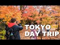 Best Day Trip from Tokyo in Autumn