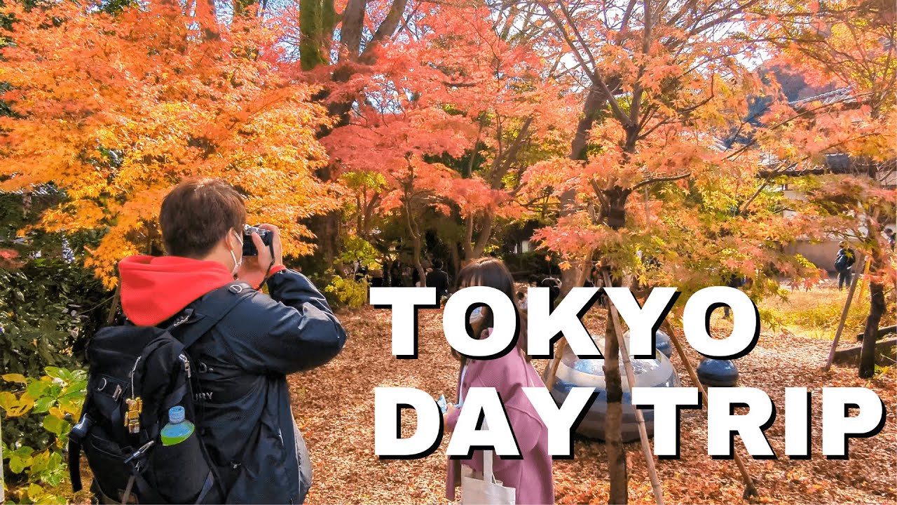 Best Day Trip from Tokyo in Autumn