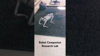Robot Companion Research Lab #RobotDog #Unitree #Go2