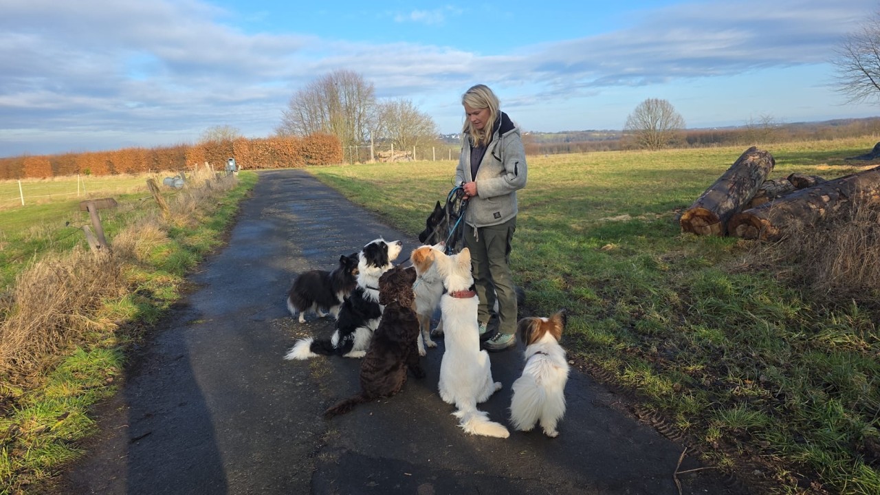 Assistenzhündin Gabi im Hundeinternat