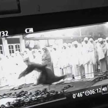 VIRAL.. Saat sholat IDUL ADHA pemuda kesandung jatuh didepan orang banyak|Ngakak|LUCU|