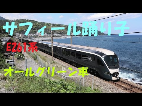 [サフィール踊り子 E261系] オールグリーン車特急