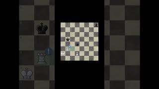 Brilliant!!   #chess #chessboard #chessplayer #chessgame #chessgrandmaster #chess #chessmate