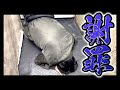 横領だけじゃない？暴かれる罪の数々に一同驚愕