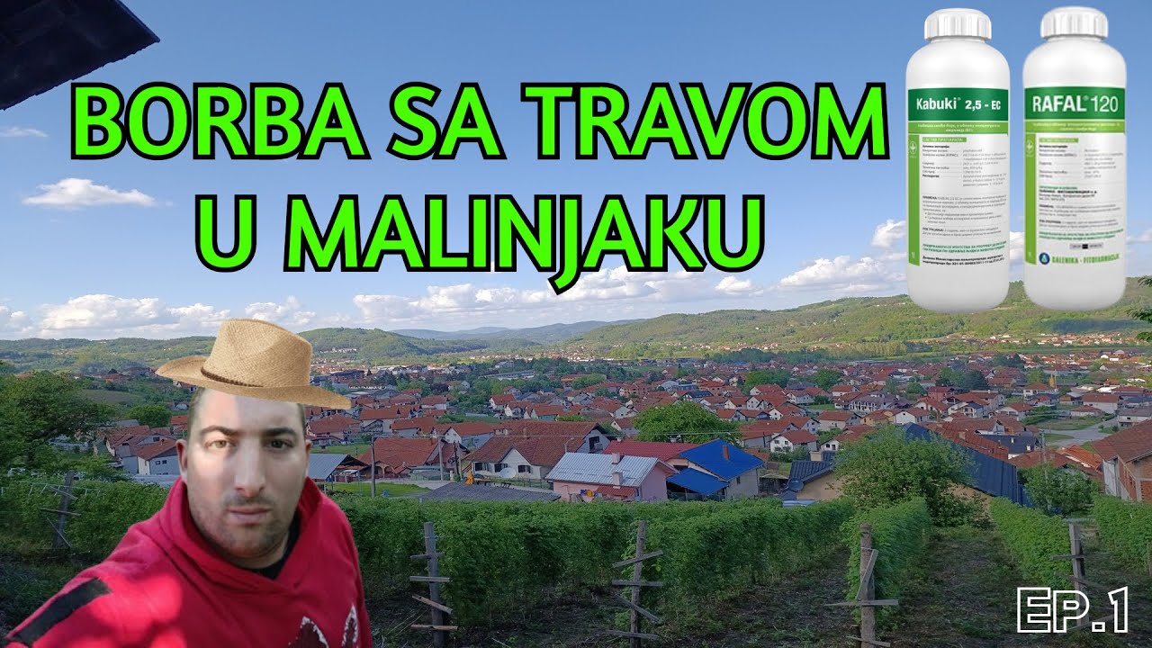 MALINA FERTODI EPIZODA 2 / BORBA SA TRAVOM!