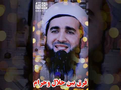 فرق بین حلال و حرام در چیست