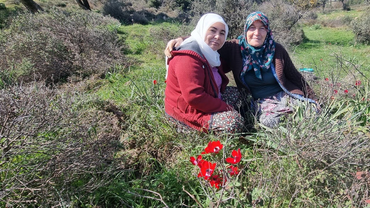ÇAM DİPLERİNDEN ZÜLEYHA İLE MONCU KAZ AYAK ÇEŞİT OTLAR SARMAŞIK TOPLADIK LALELER İZLEMEYA DEĞER VLOG
