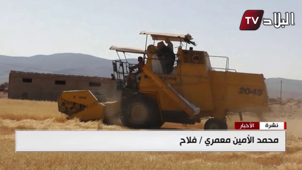 النعامة : تراجع مردود الاراضي المستصلحة بسبب شح الأمطار