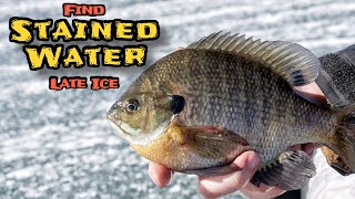 Late Ice Panfish SECRET: Find Stained Water!