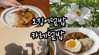 간단하고 맛있는 한그릇 요리 [오징어덮밥과 카레덮밥] | 로메인과 루꼴라 새싹이 나왔다 | 초록으로 물들어가는 시골풍경을 담은 브이로그 [vlog. 43]