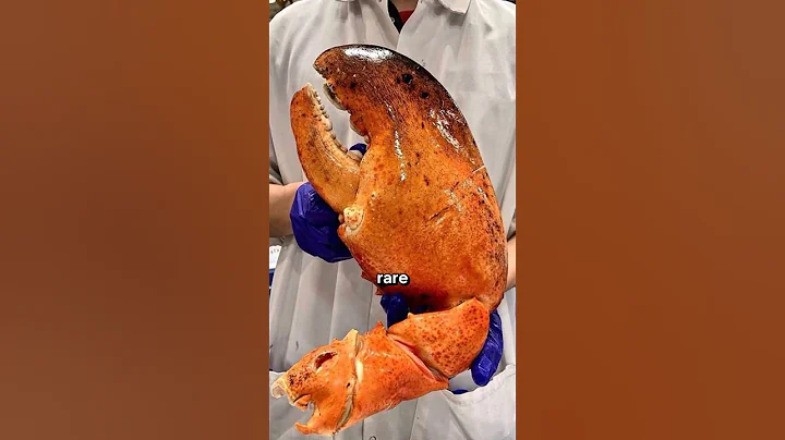 Rare Photos You've Never Seen Before Part [ 42 ]