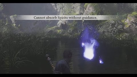 Black Myth Wukong - Cannot absorb spirits without guidance