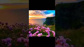 Tumblr girl 💓💗.. #nature