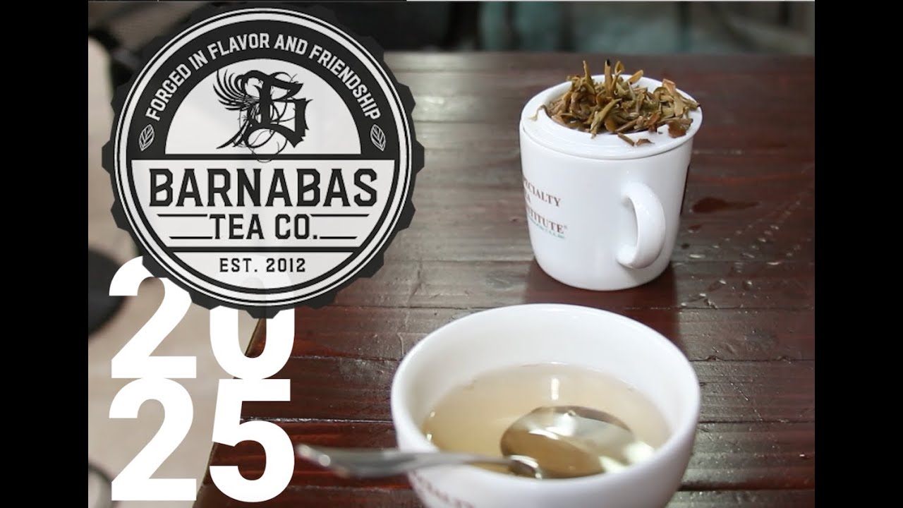 Barnabas Year End Review: 2025