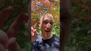 Long by nature or by position? #greek #latin #grammar #pronunciation
🦂 Support my work on Patreon:
https://www.patreon.com/LukeRanieri
📚 Luke Ranieri Audiobooks:
https://luke-ranieri.myshopify.com
🤠 Take my course LATIN UNCOVERED on StoryLearning, including my original Latin adventure novella Vir Petasātus
https://learn.storylearning.com/lu-promo?affiliate_id=3932873
☕️ Support my work with PayPal:
https://paypal.me/lukeranieri
And if you like, do consider joining this channel:
https://www.youtube.com/channel/UCLbiwlm3poGNh5XSVlXBkGA/join
🏛 Latin by the Ranieri-Dowling Method: https://luke-ranieri.myshopify.com/collections/frontpage/products/latin-by-the-ranieri-dowling-method-latin-summary-of-forms-of-nouns-verbs-adjectives-pronouns-audio-grammar-tables
🏺Ancient Greek by the Ranieri-Dowling Method: https://luke-ranieri.myshopify.com/collections/frontpage/products/ancient-greek-by-the-ranieri-dowling-method-latin-summary-of-forms-of-nouns-verbs-adjectives-pronouns-audio-grammar-tables
🦉🏛 Latin in Action · Free Latin Lessons:
https://www.youtube.com/playlist?list=PLU1WuLg45Siz4rlDqcXjzQqIRSy0skGlf
🦉🏺 Ancient Greek in Action · Free Greek Lessons:
https://www.youtube.com/playlist?list=PLU1WuLg45SixsonRdfNNv-CPNq8xUwgam
🦂 ScorpioMartianus (my channel for content in Latin, Ancient Greek, & Ancient Egyptian)
https://www.youtube.com/ScorpioMartianus
🎙 Hundreds of hours of Latin & Greek audio:
https://lukeranieri.com/audio
🌍 polýMATHY website:
http://lukeranieri.com/polymathy/
🌅 polýMATHY on Instagram:
https://www.instagram.com/lukeranieri/
🦁 Legio XIII Latin Language Podcast:
https://youtube.com/LegioXIII
👕 Merch:
https://teespring.com/stores/scorpiomartianus
🦂 https://www.ScorpioMartianus.com
🦅 https://www.LukeRanieri.com
📖 My book Ranieri Reverse Recall on Amazon:
http://amzn.to/2nVUfqd
Intro and outro music: Overture of Die Zauberflöte (The Magic Flute) by Mozart Long by nature or by position? #greek #latin #grammar #pronunciation