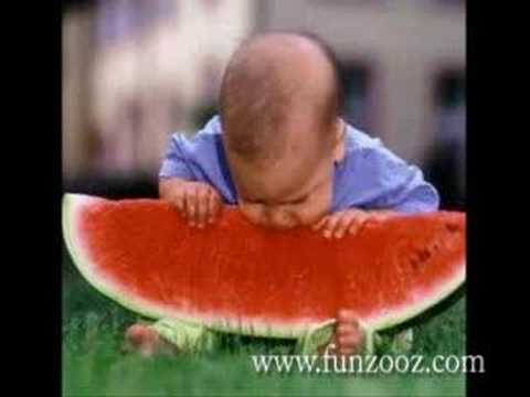 best funny pictures