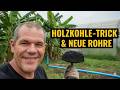 Sommersturm auf der Farm: Bewässerung pausiert – Holzkohle-Boost für die Ebils 🌧️🌱