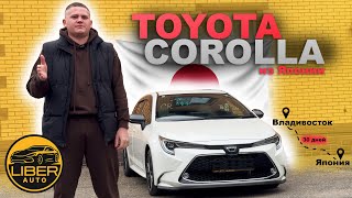 видео: Toyota Corolla Touring: умный выбор! картинка: Toyota Corolla Touring: умный выбор!