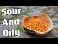 SEA BUCKTHORN - Reviewing The Fresh Fruit in Estonia - Weird Fruit Explorer