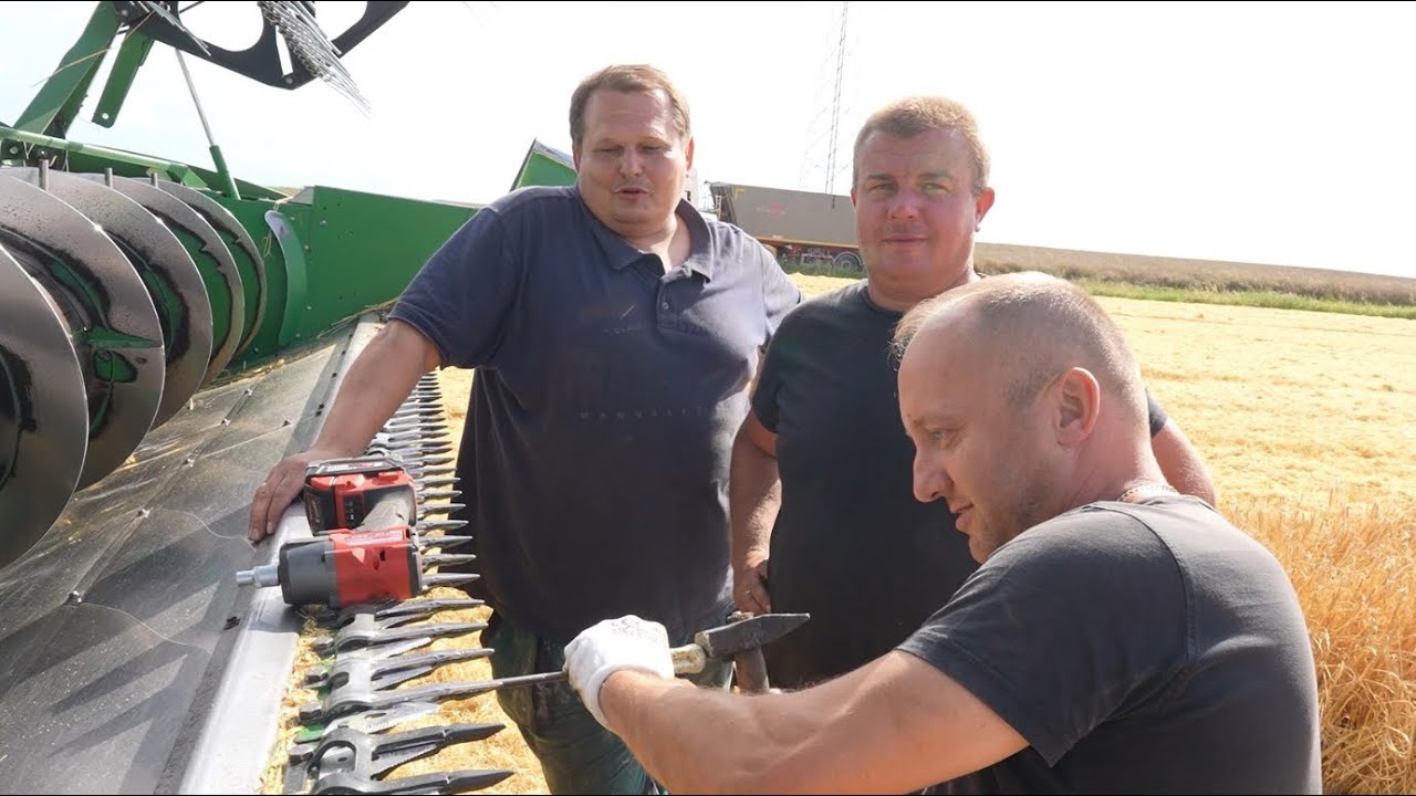 DZIEŃ, KTÓRY ZAKOŃCZYŁ ŻARTY Z KLĄTWY - ŻNIWA (JĘCZMIEŃ).