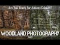 Woodland Photography - Are You Ready For Autumn Colours? Part 1