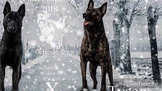 Defenderdogs Lizzan