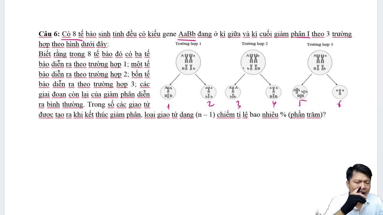 Chữa đề ôn tập giữa kì 1 - Sinh học 12