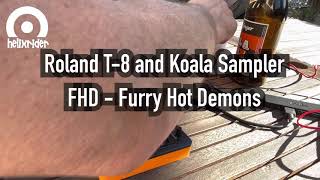 Furry Hot Demons - Techno Live Jam with Roland T-8 & Koala Sampler