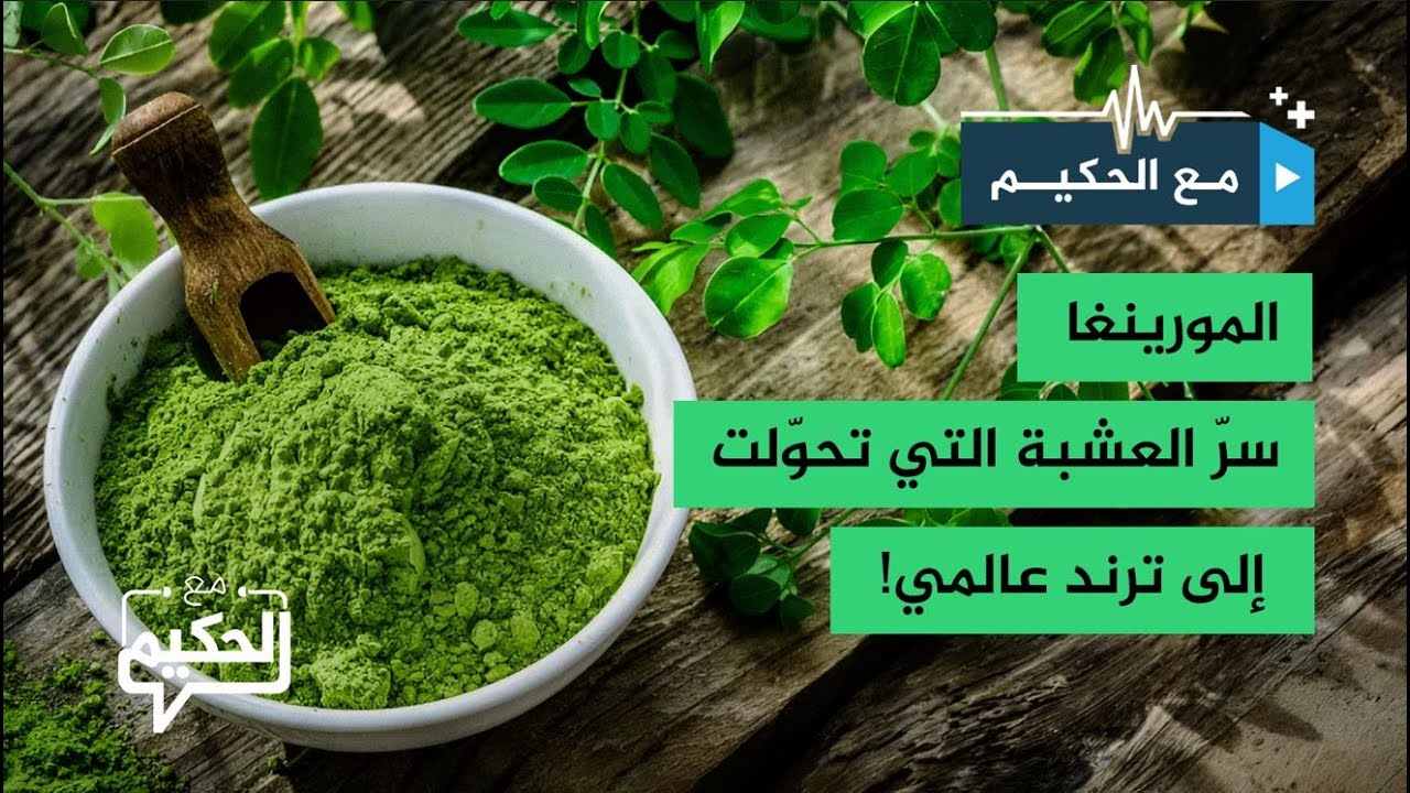 المورينغا "شجرة المعجزات".. عشبة تتحول إلى ترند عالمي على منصات التواصل ما السر؟