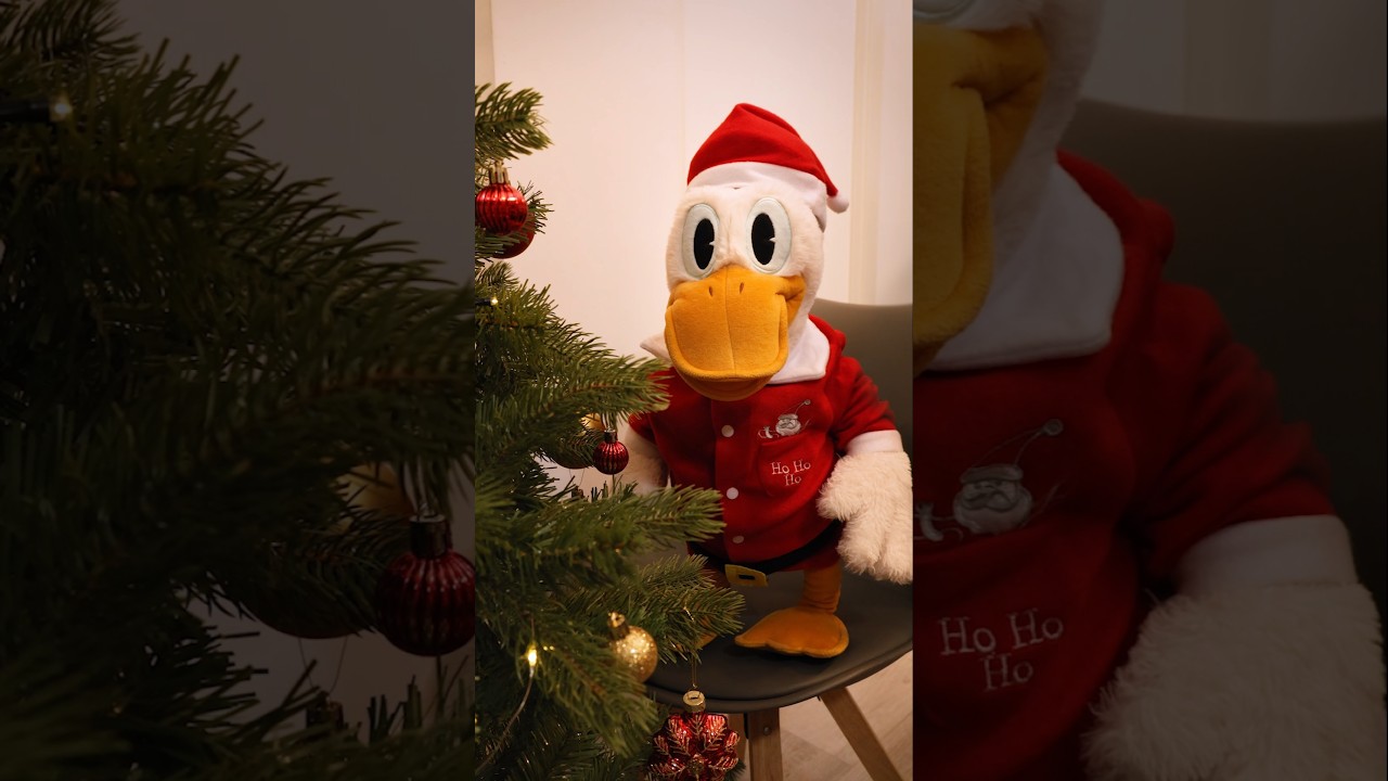 Patástica Navidad 🎄🦆