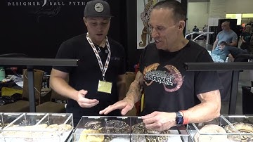 GHI MORPH COMBOS with JOSH WEINRICH of MORPH JUNGLE