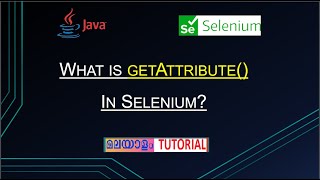 P44 - How To Get Attribute Value In Selenium WebDriver4 What is getAttribute() method in Selenium