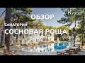 Обзор санатория &quot;Сосновая роща&quot; в Крыму: лечение, номера, пляж