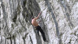 Austrian Oak Bottom Section