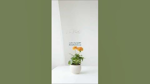 وجزاهم بما صبروا جنة وحرير.               #القارئ زياد حامد