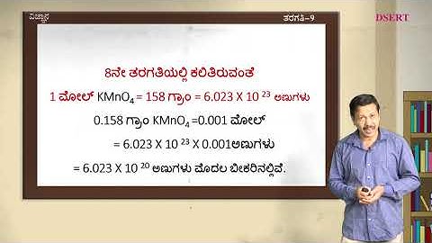 Bridge Course - Science - 9th - Day 14