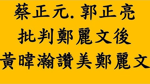 蔡正元.郭正亮批判後！黃暐瀚讚美鄭麗文