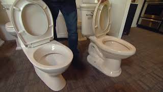 What's the Difference in Toilets Available for Bathrooms These Days?!