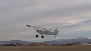 Shock Cub Ultra 2018 by Skywalker