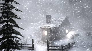 I’m 57 and Haven’t Slept This Well in Years… POWERFUL BLIZZARD SOUNDS | Arctic Sleep Storm 2026 screenshot 5