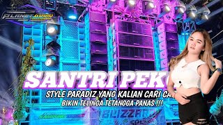 Download lagu DJ SANTRI PEKOK X MELODY PARADISE