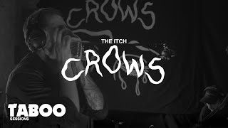 Crows - The Itch | Taboo Sessions